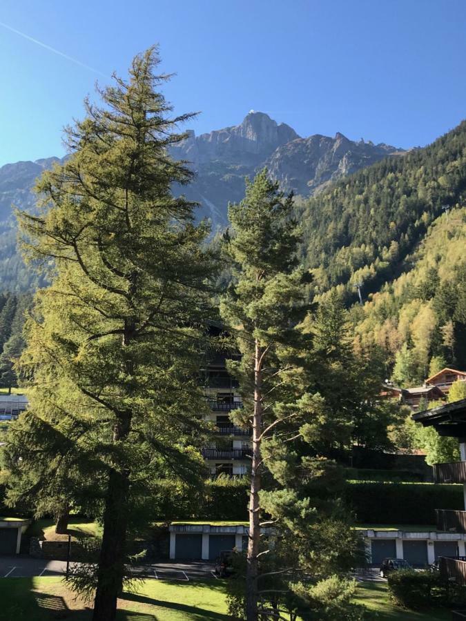 Appartamento Brévent - Melèze Chamonix Esterno foto